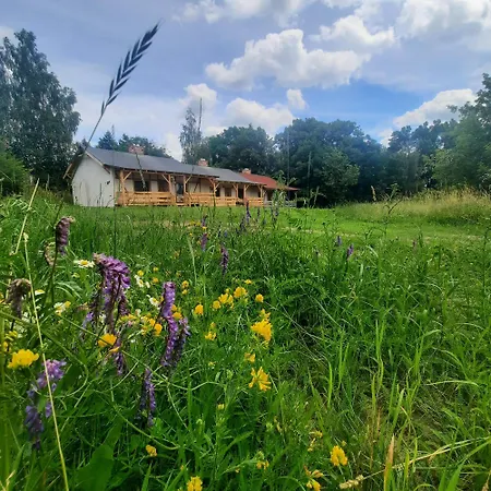 Kacze Bagno - Miejsce Inicjatyw Pozytywnych Nowe Miasto Lubawskie