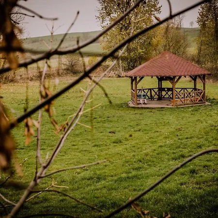 Kacze Bagno - Miejsce Inicjatyw Pozytywnych * Nowe Miasto Lubawskie