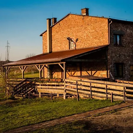 Kacze Bagno - Miejsce Inicjatyw Pozytywnych Nowe Miasto Lubawskie