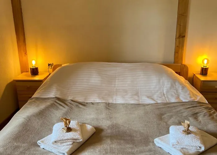 Kacze Bagno - Miejsce Inicjatyw Pozytywnych Nowe Miasto Lubawskie