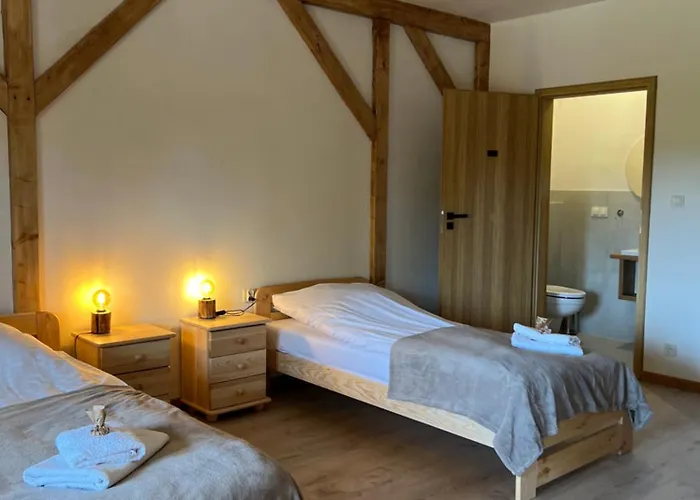 Hostel Kacze Bagno - Miejsce Inicjatyw Pozytywnych Nowe Miasto Lubawskie