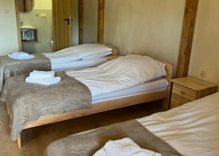 Kacze Bagno - Miejsce Inicjatyw Pozytywnych Hostel Nowe Miasto Lubawskie