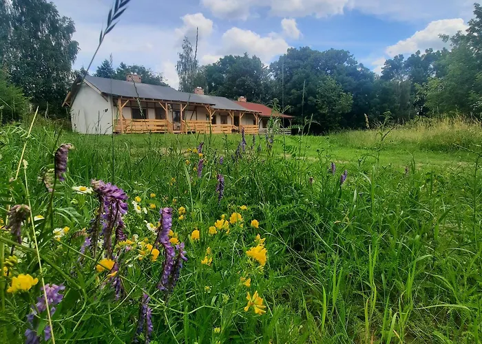 Kacze Bagno - Miejsce Inicjatyw Pozytywnych Nowe Miasto Lubawskie