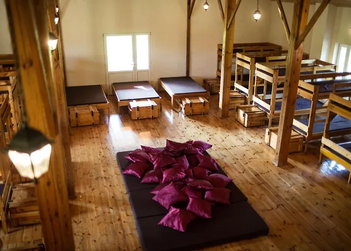 Kacze Bagno - Miejsce Inicjatyw Pozytywnych * Nowe Miasto Lubawskie