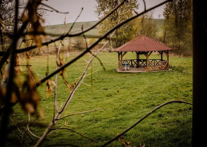 Kacze Bagno - Miejsce Inicjatyw Pozytywnych * Nowe Miasto Lubawskie