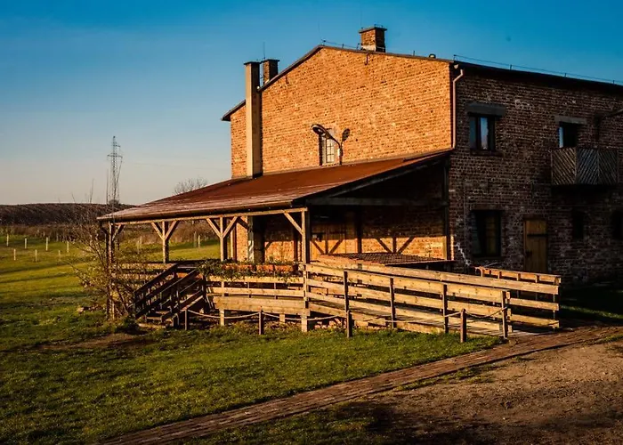 Kacze Bagno - Miejsce Inicjatyw Pozytywnych Nowe Miasto Lubawskie